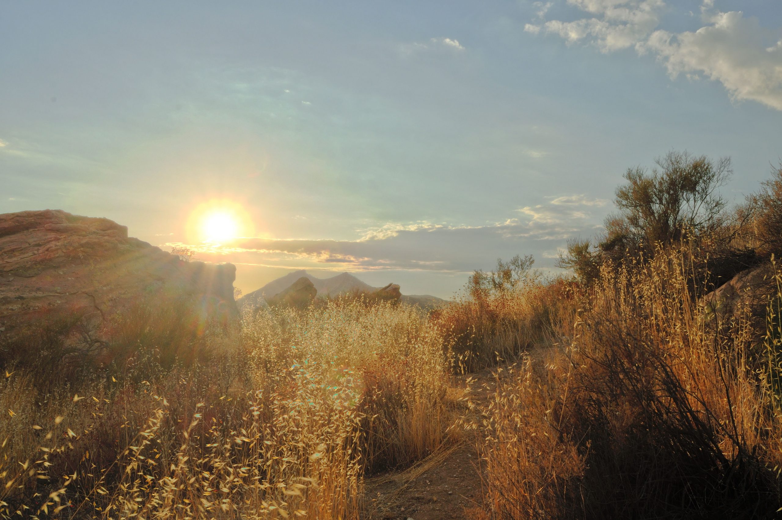 Curse of the Starving Class